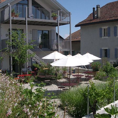 Le Coq Chantant Studios D'Hotes & Boutique Hotel St-Livres Saint-Livres Exteriör bild