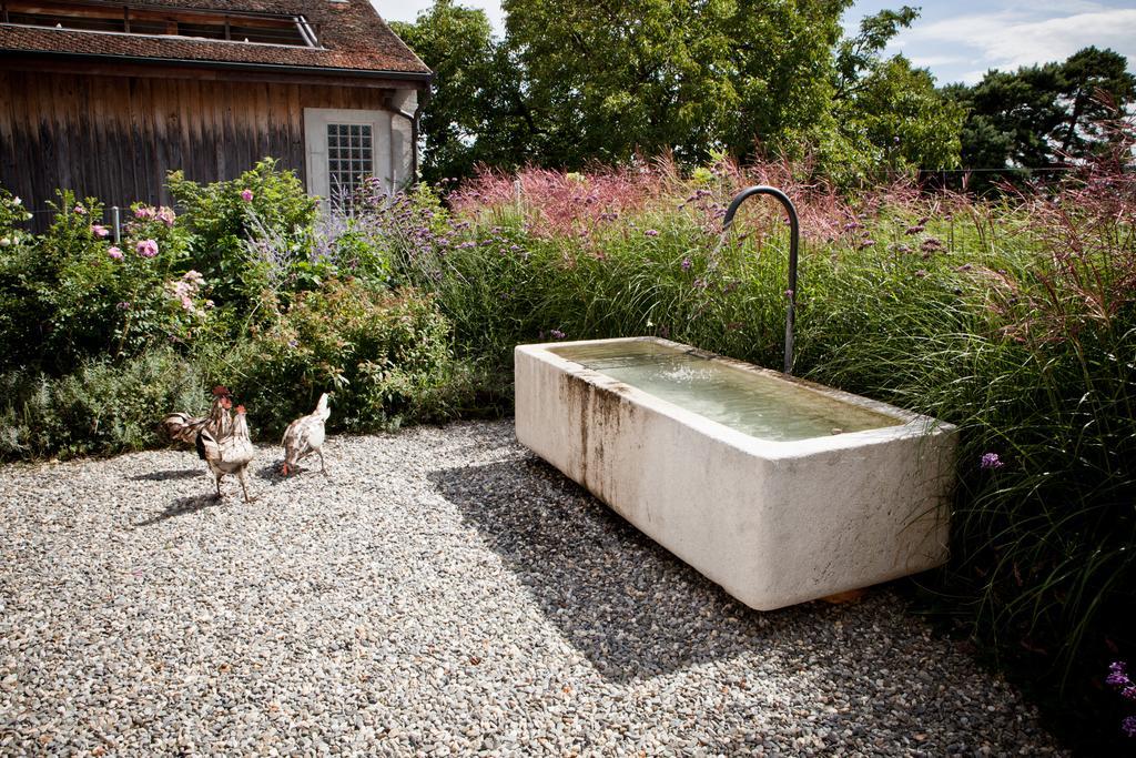 Le Coq Chantant Studios D'Hotes & Boutique Hotel St-Livres Saint-Livres Exteriör bild
