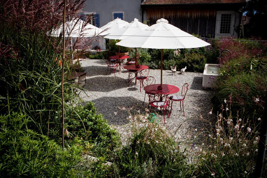 Le Coq Chantant Studios D'Hotes & Boutique Hotel St-Livres Saint-Livres Exteriör bild