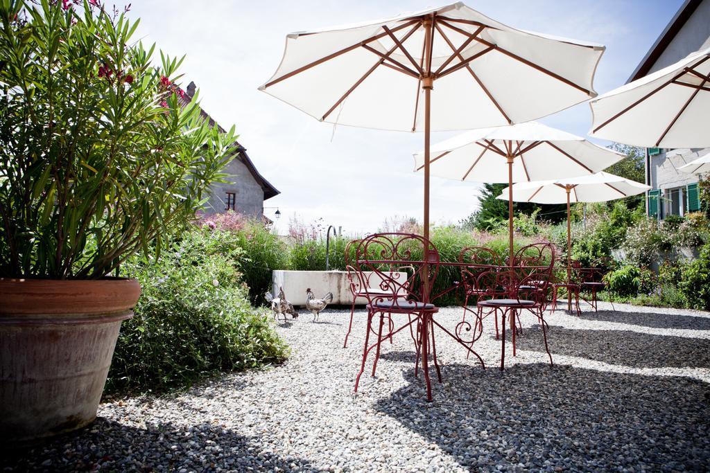 Le Coq Chantant Studios D'Hotes & Boutique Hotel St-Livres Saint-Livres Exteriör bild